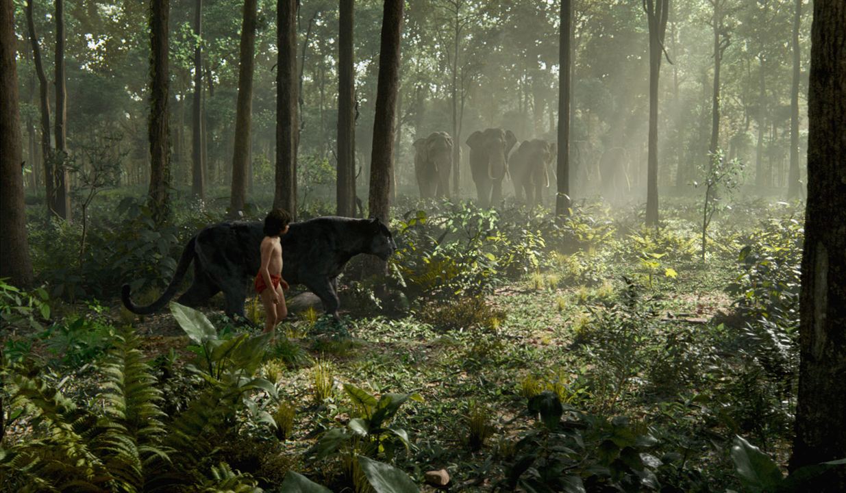 The Jungle Book : Bild Neel Sethi