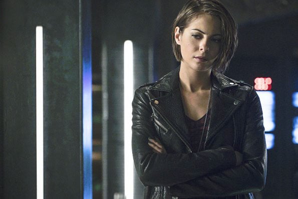 Arrow : Bild Willa Holland