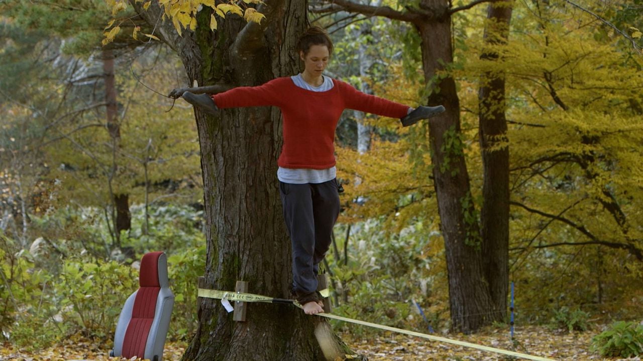 Zen For Nothing : Bild