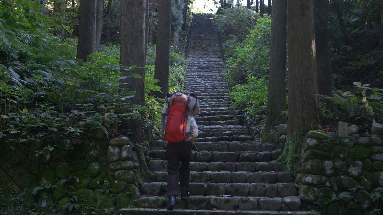 Zen For Nothing : Bild