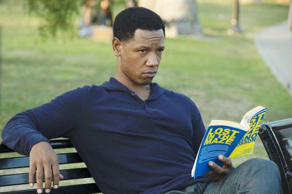 Colony : Bild Tory Kittles