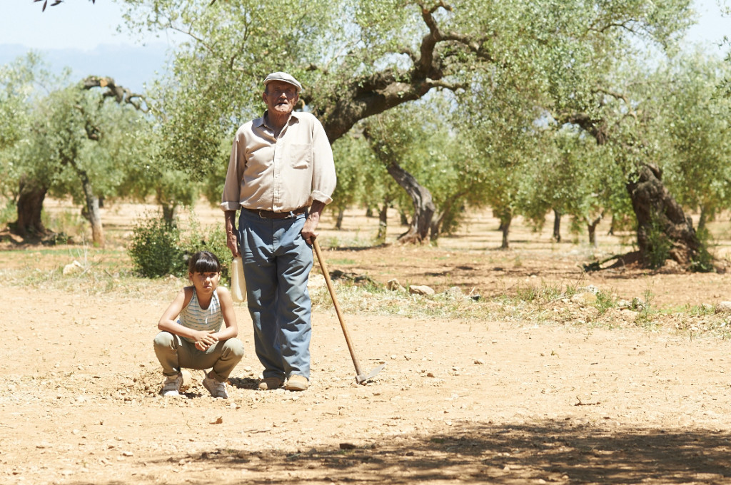 El Olivo - Der Olivenbaum : Bild Manuel Cucala, Inés Ruiz