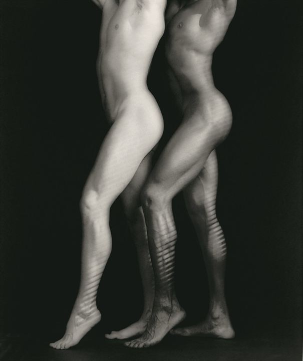 Mapplethorpe: Look At The Pictures : Bild