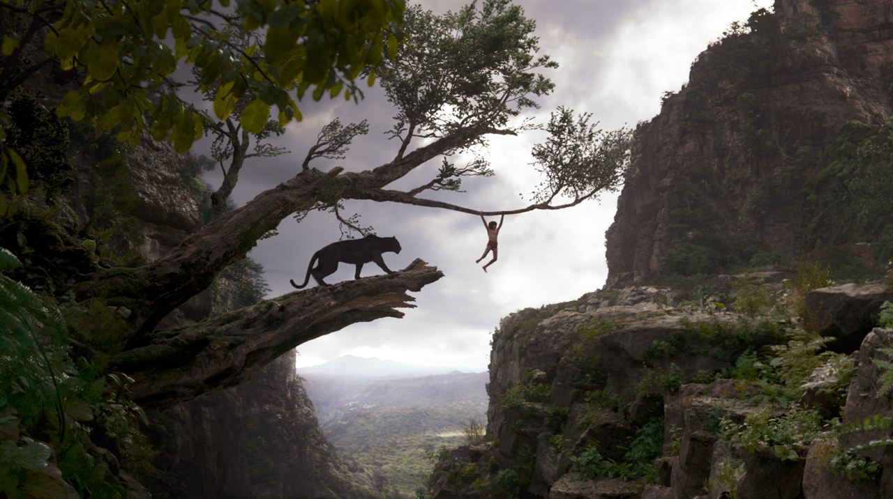 The Jungle Book : Bild Neel Sethi