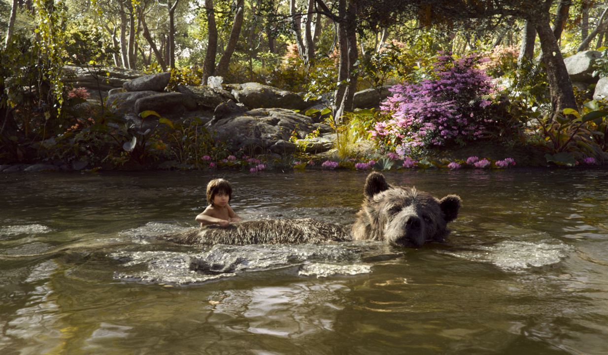 The Jungle Book : Bild Neel Sethi