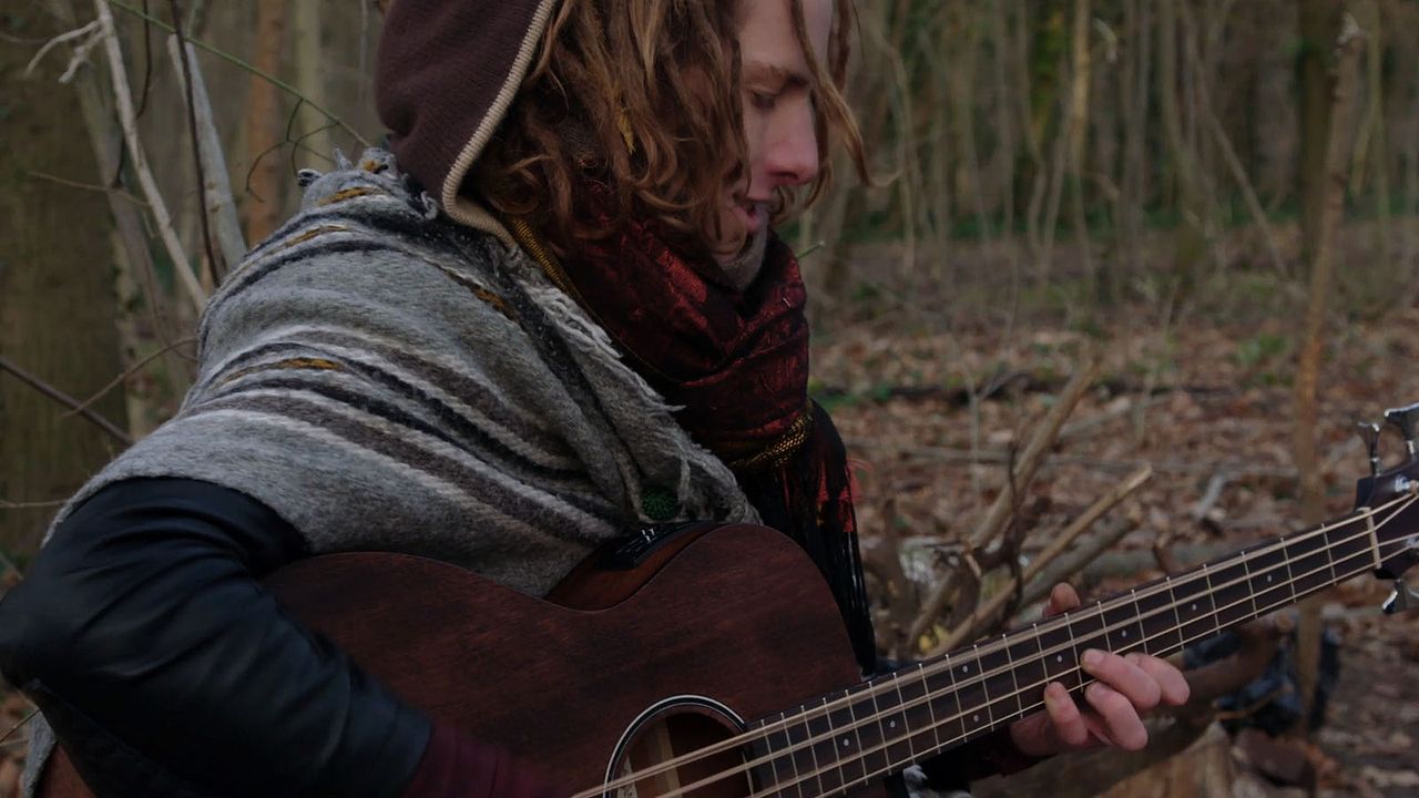 The Woods Dreams Are Made of : Bild