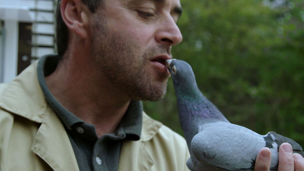 The Woods Dreams Are Made of : Bild