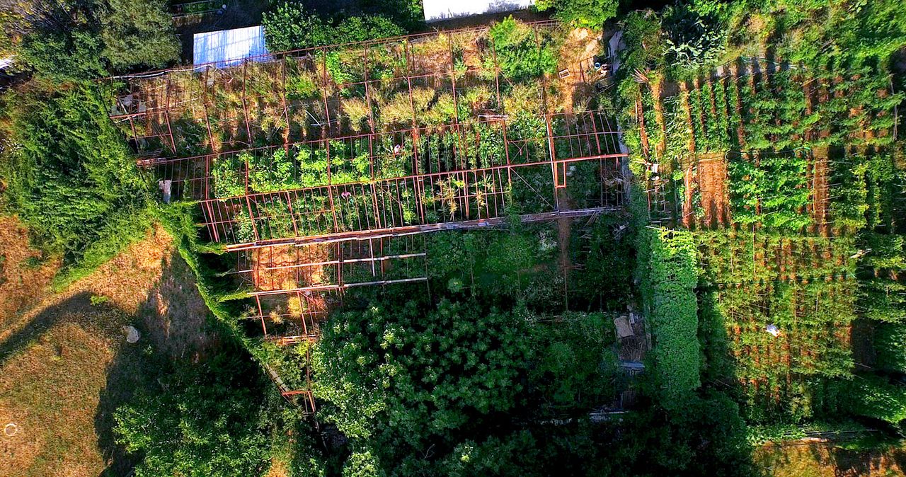 Le Potager de mon grand-père : Bild