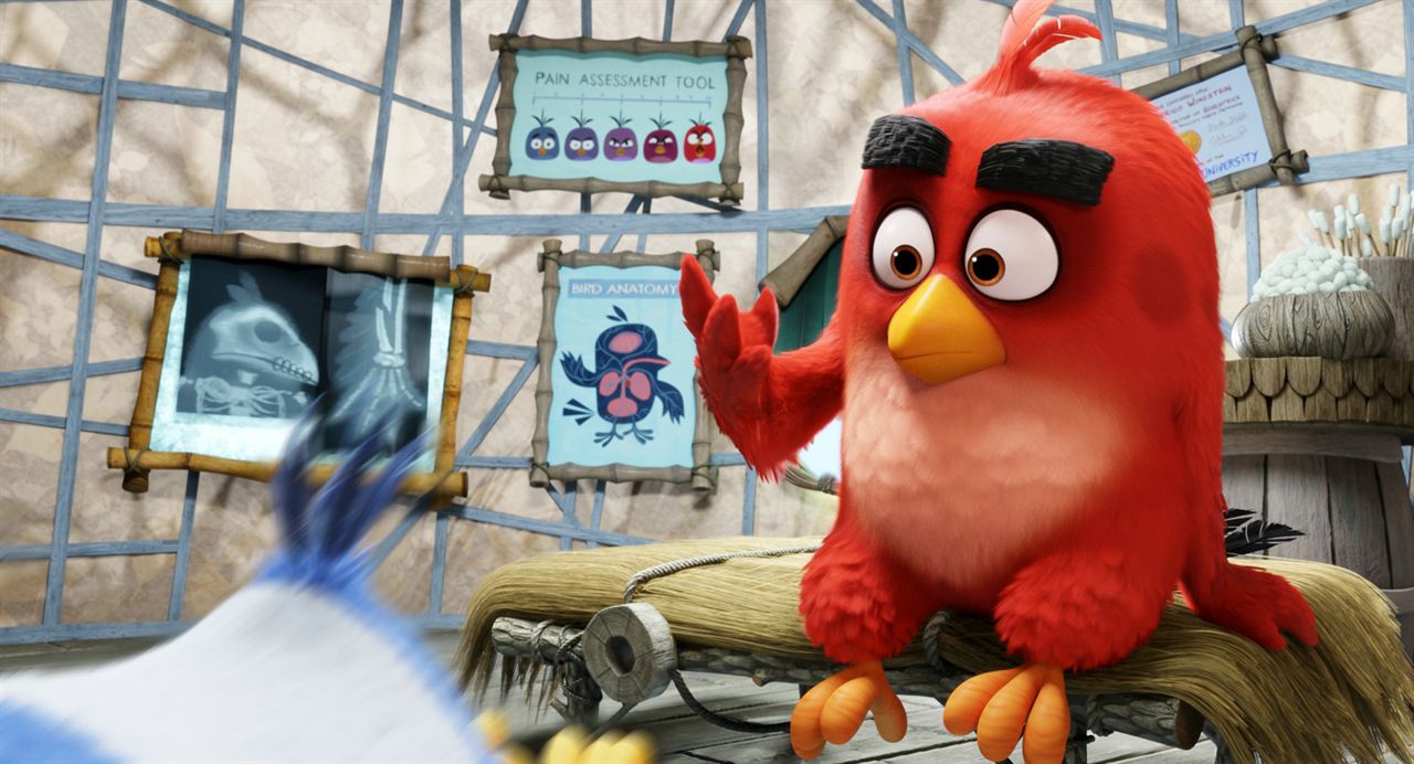 Angry Birds - Der Film : Bild
