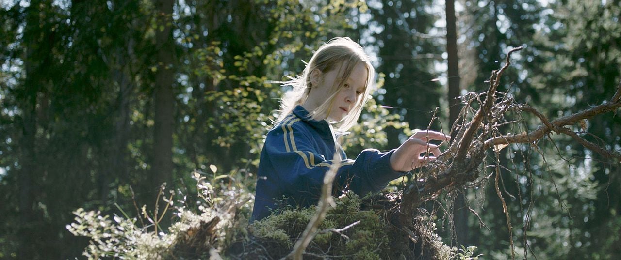 Granny's Dancing on the Table : Bild