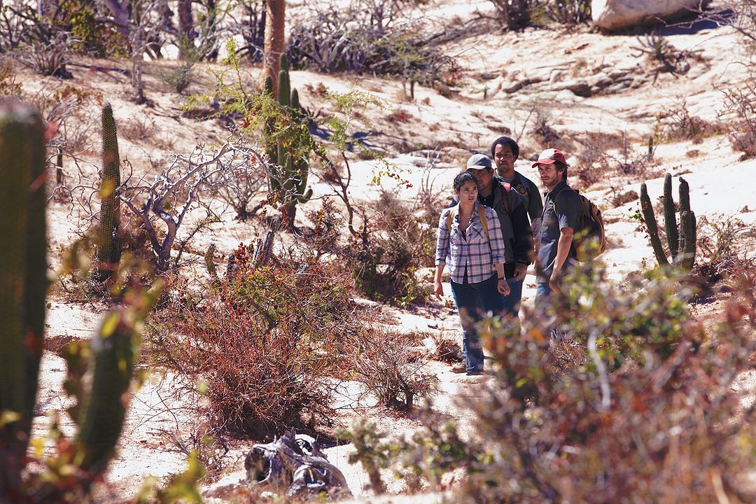 Desierto - Tödliche Hetzjagd : Bild Alondra Hidalgo, Gael García Bernal