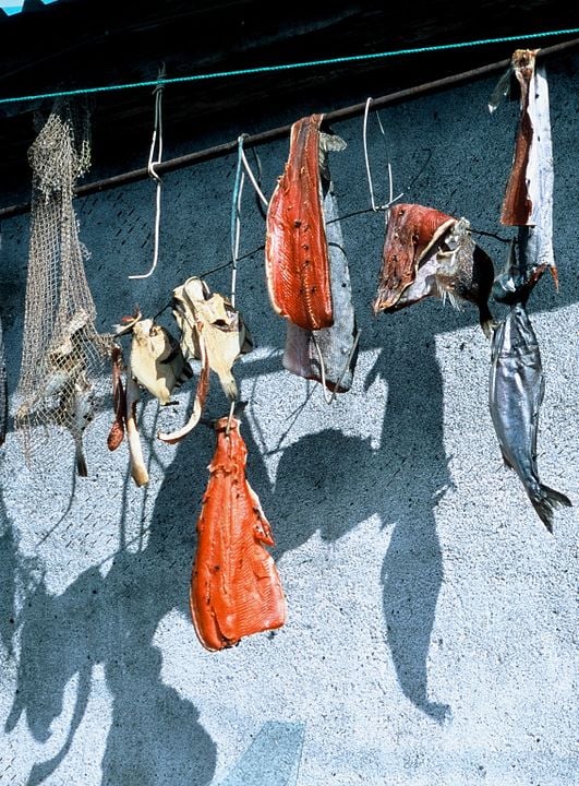 Chamissos Schatten: Kapitel 2 Teil 2 Tschukotka und die Wrangelinsel : Bild