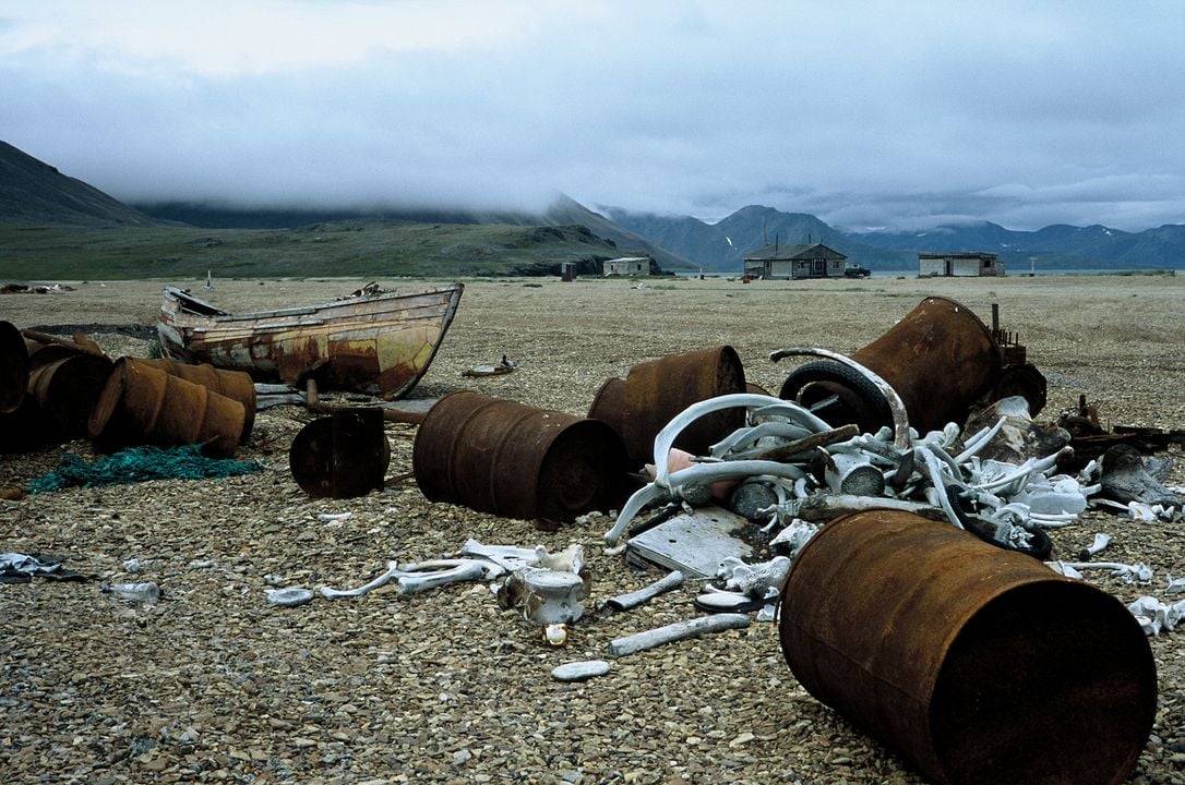 Chamissos Schatten: Kapitel 2 Teil 2 Tschukotka und die Wrangelinsel : Bild