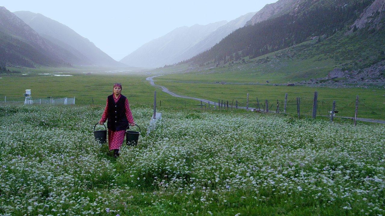 Nomaden des Himmels : Bild