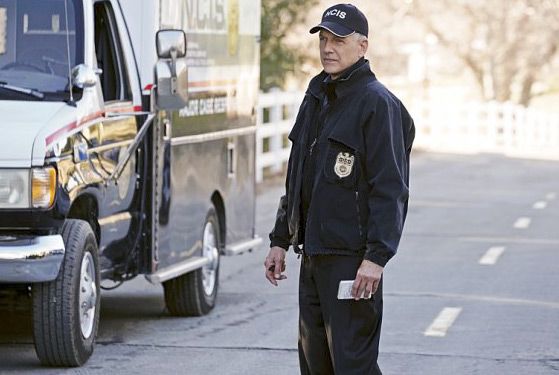 Navy CIS : Bild Mark Harmon