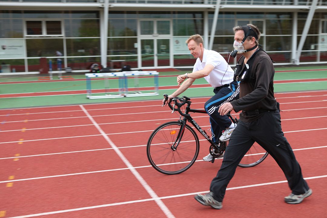 Was macht uns fit? Was macht uns fett? : Bild