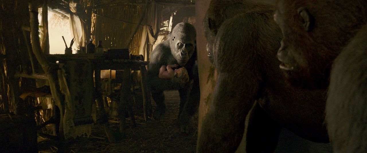 Legend Of Tarzan : Bild