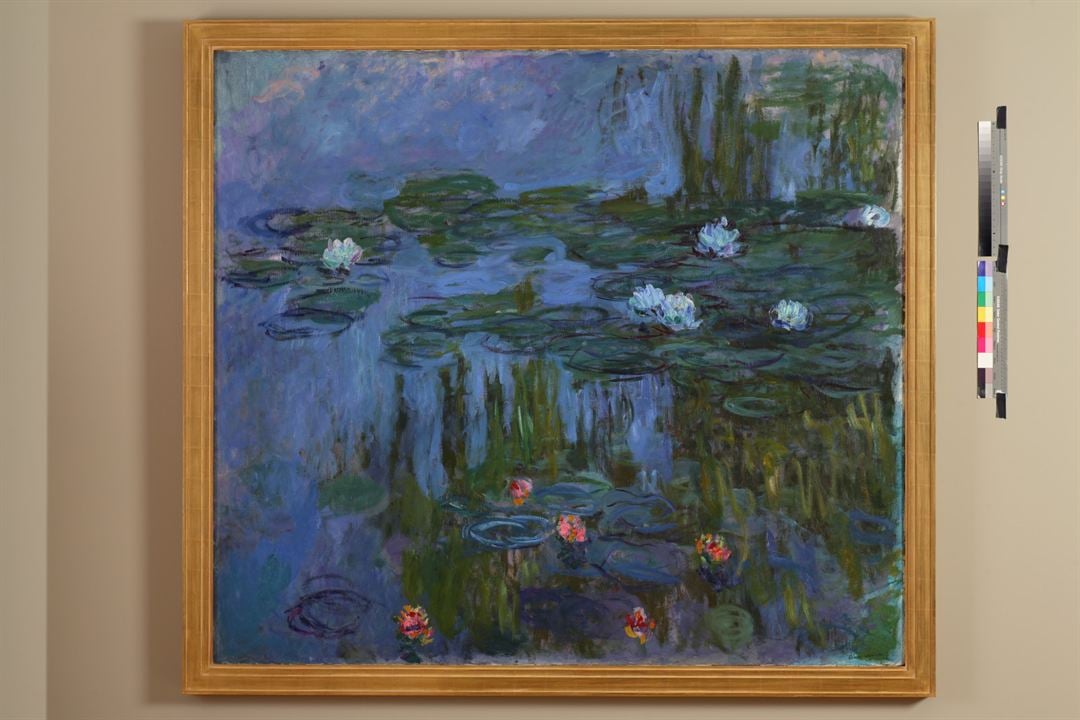 Das Malen des modernen Gartens: Monet bis Matisse : Bild