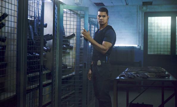 Bild Mark Coles Smith