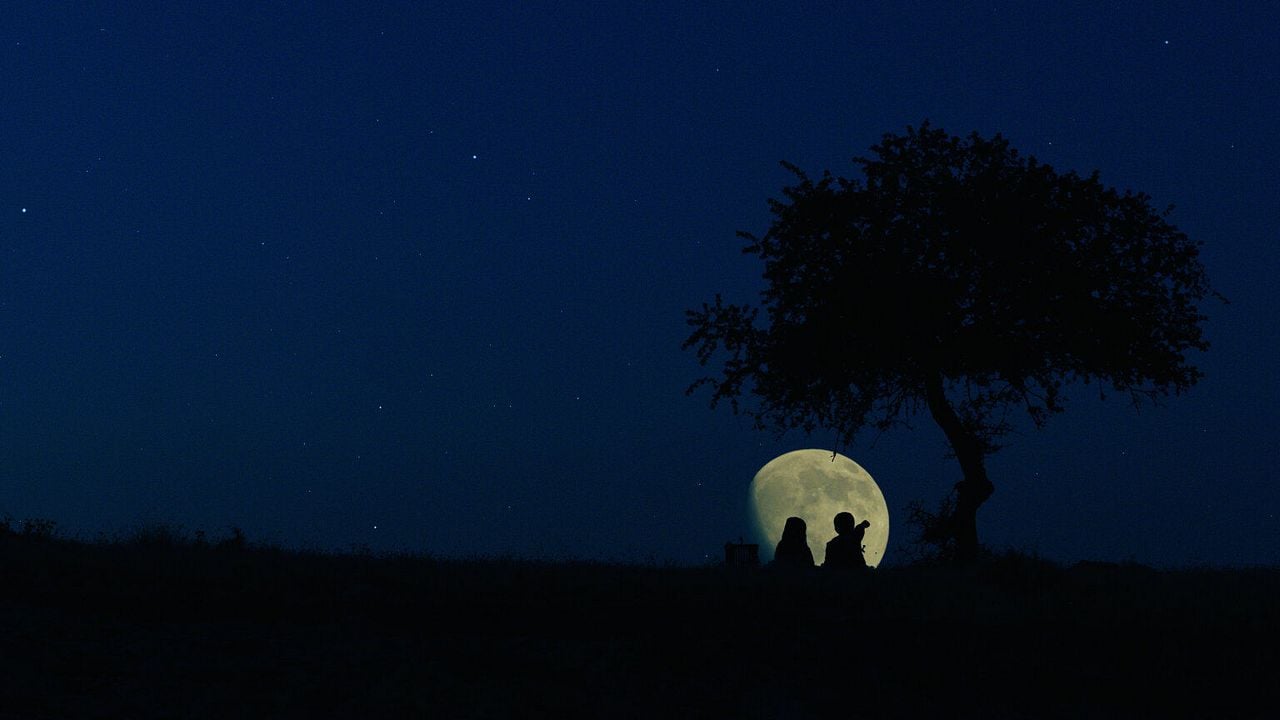 Yitik Kuşlar : Bild