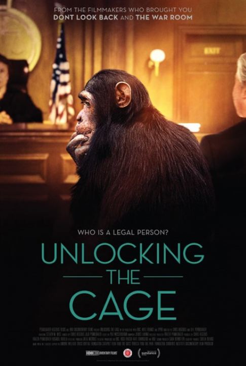 Unlocking the Cage : Kinoposter