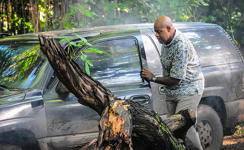 Hawaii Five-0 : Bild Chi McBride