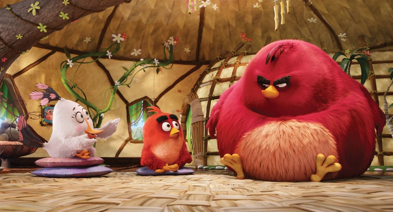 Angry Birds - Der Film : Bild