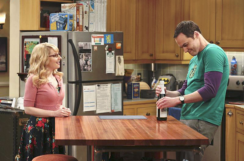 The Big Bang Theory : Bild Melissa Rauch, Jim Parsons