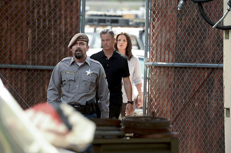 Criminal Minds: Beyond Borders : Bild Gary Sinise, Alana De La Garza