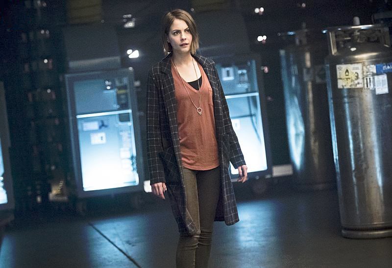 Arrow : Bild Willa Holland