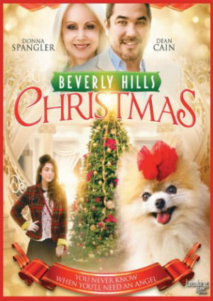 Der Weihnachtsengel von Beverly Hills : Kinoposter