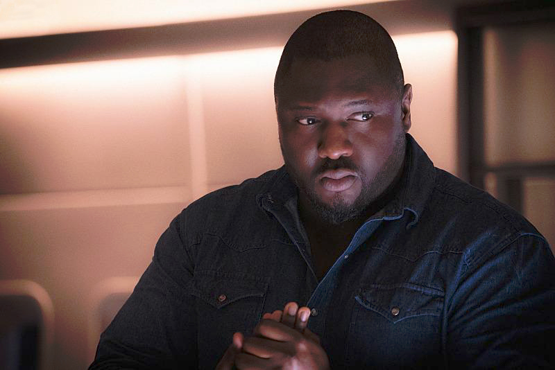 Zoo : Bild Nonso Anozie