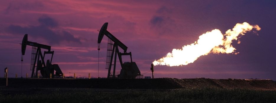 Black Harvest : Bild