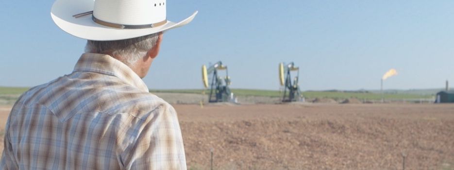 Black Harvest : Bild