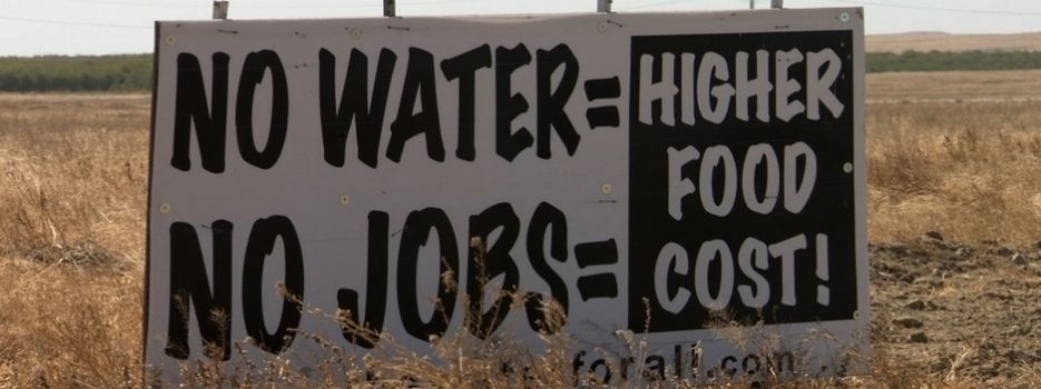 Last Call at the Oasis : Bild