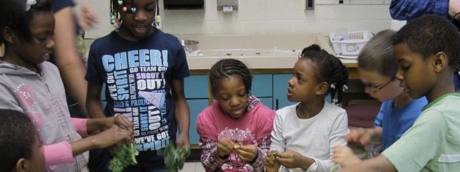 In Organic We Trust : Bild