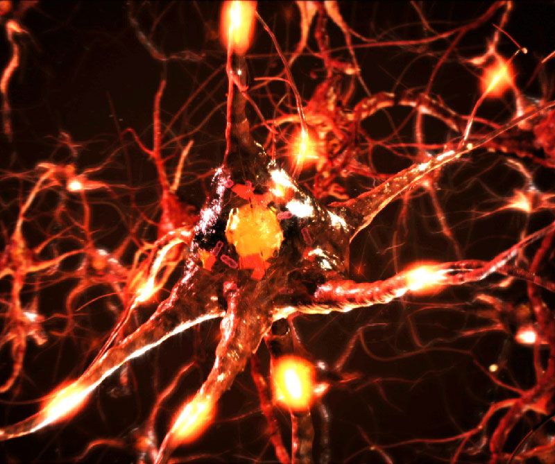 Notre créativité oubliée : Bild