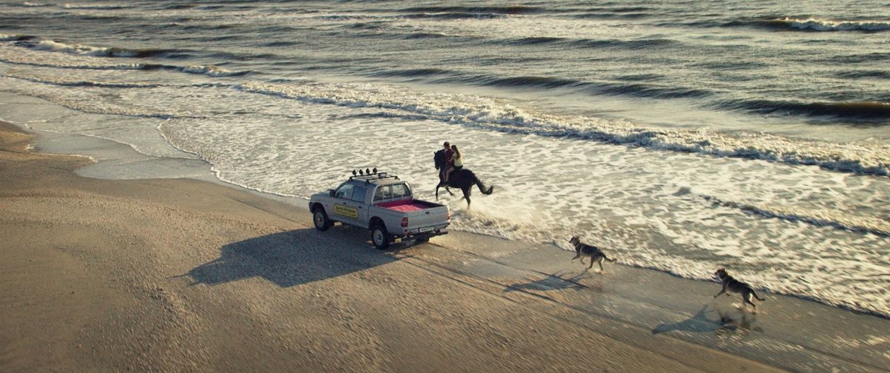 Galloping Mind : Bild