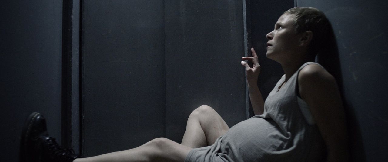 Galloping Mind : Bild