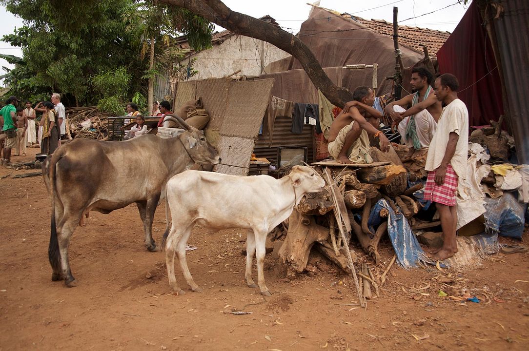 Mutter Theresa: Ihre Briefe. Ihr Leben. : Bild