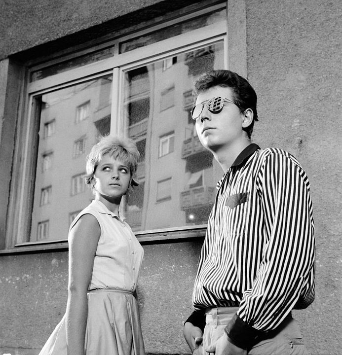 Sonne im Netz : Bild