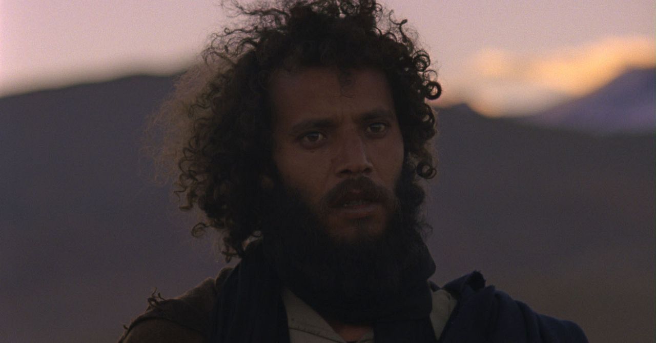 Mimosas : Bild Ahmed Hammoud