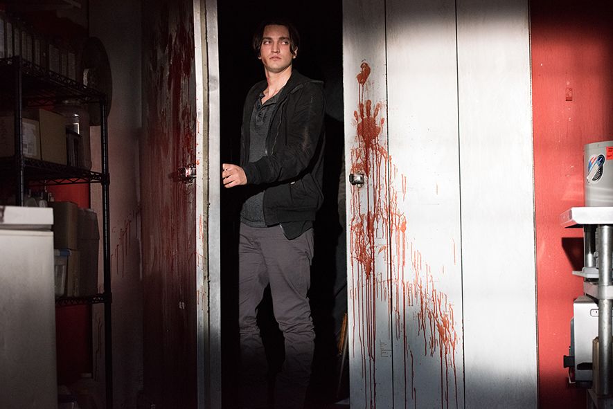 The Burning Curse : Bild