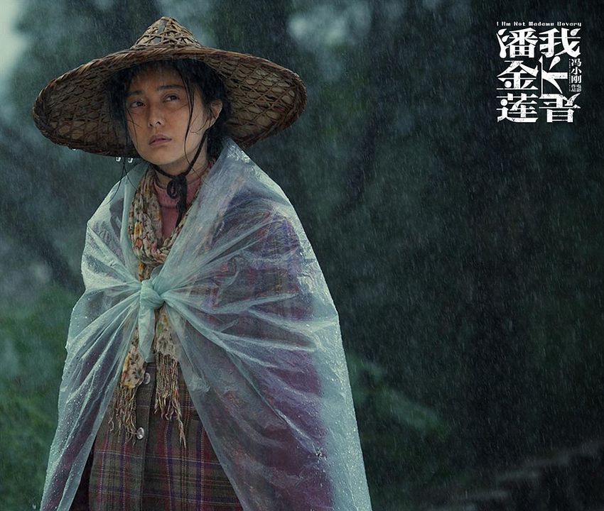 I Am Not Madame Bovary : Bild