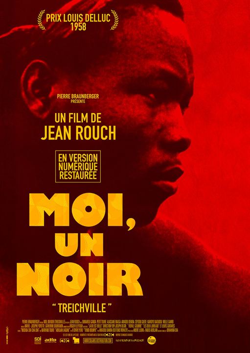 Moi un noir : Kinoposter