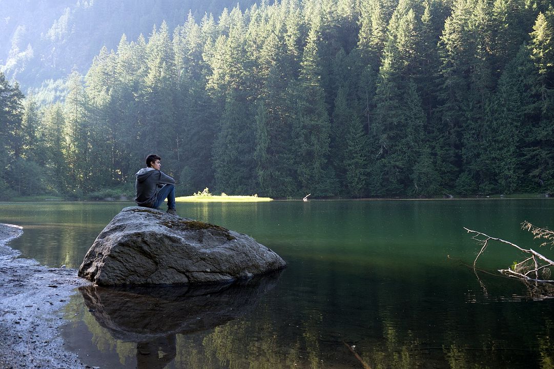 Ferien in der Wildnis : Bild