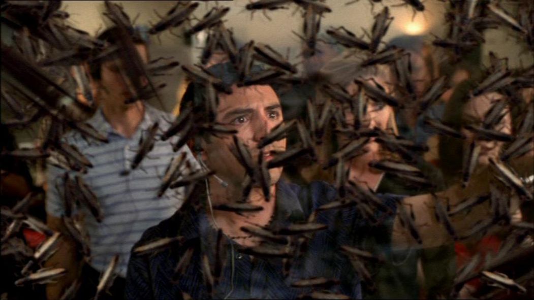 Todesschwarm - Heuschrecken greifen an : Bild Nicolas Roye