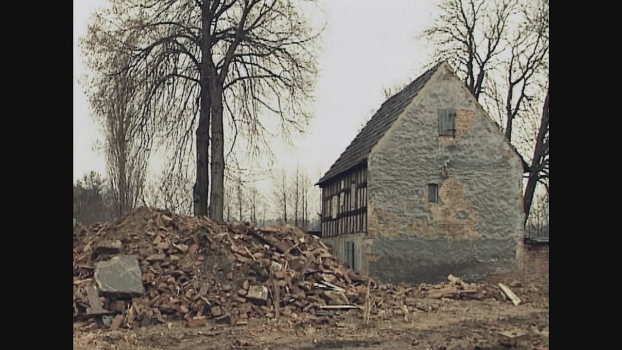 Land am Wasser : Bild