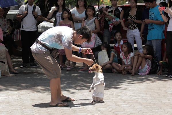 Da Dog Show : Bild