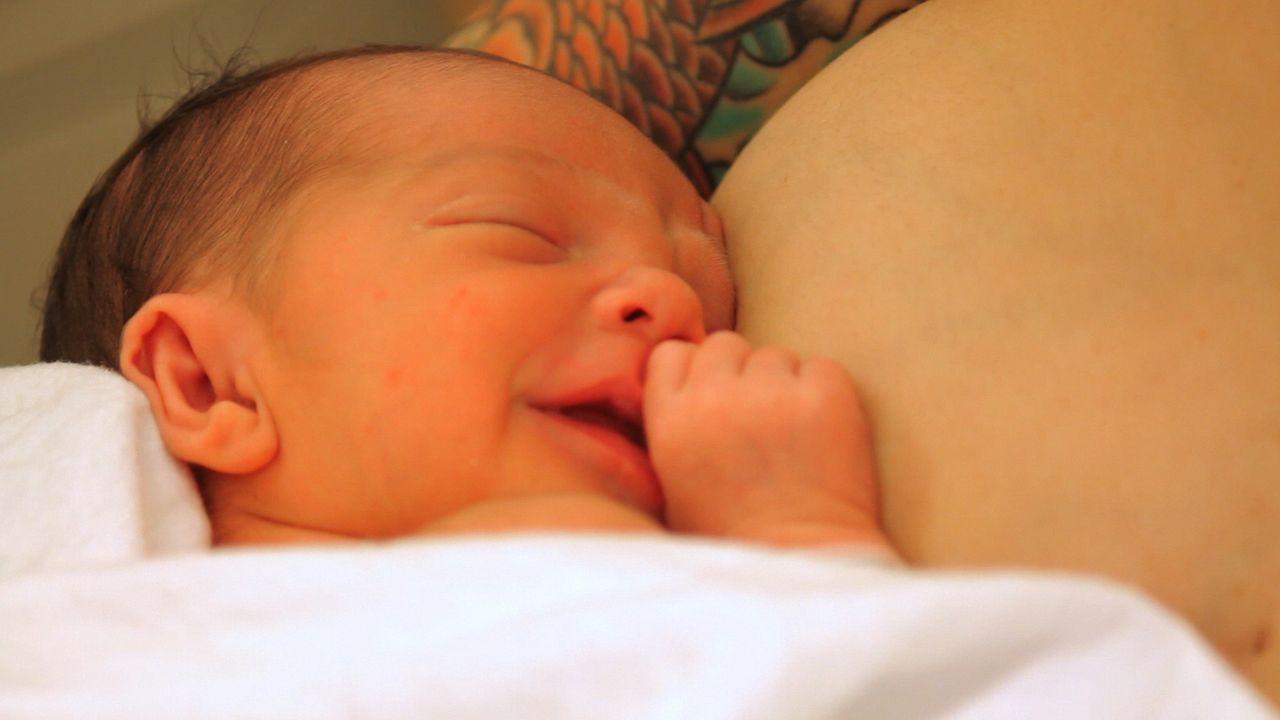 The Milky Way : Bild